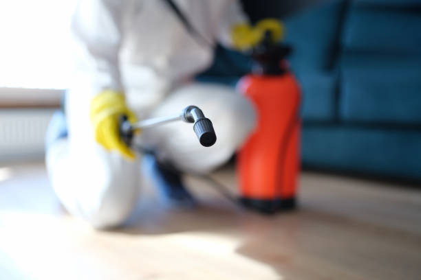 Mold Remediation for Vacation Homes in Las Cruces, NM