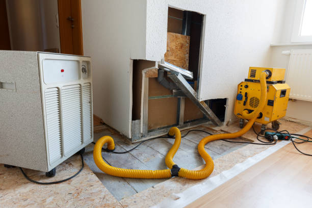 Best Indoor Air Quality Assessment  in Las Cruces, NM